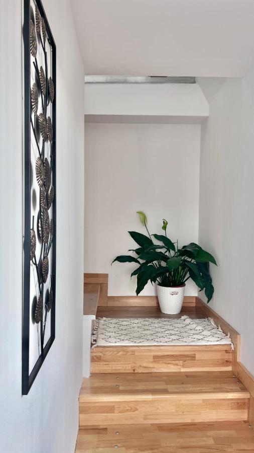 קלוז'-נאפוקה Lovely Loft מראה חיצוני תמונה